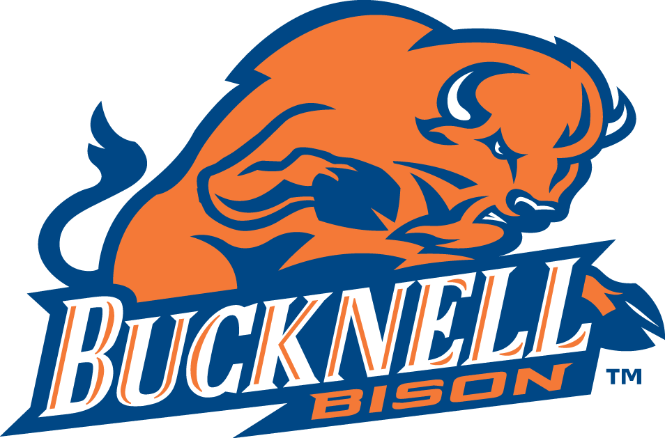 Bucknell Bison 2002-Pres Primary Logo iron on transfers for T-shirts